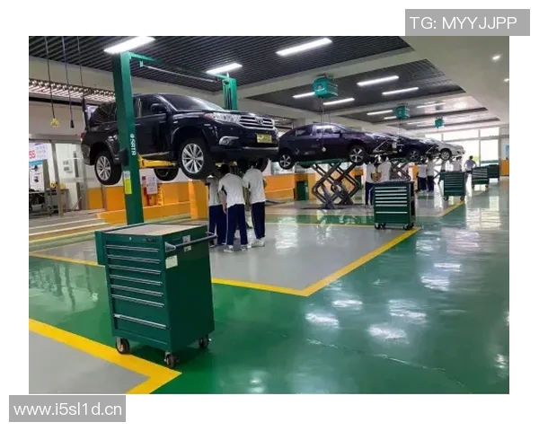 武汉飞盘队个人能力深度解析与团队协作的完美结合 武汉飞盘队个人能力深度解析与团队协作的完美结合