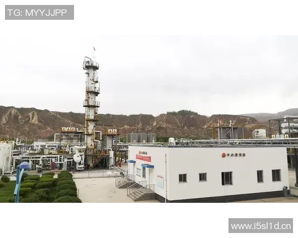 深入分析LNG战队的区域防守策略与战术布局